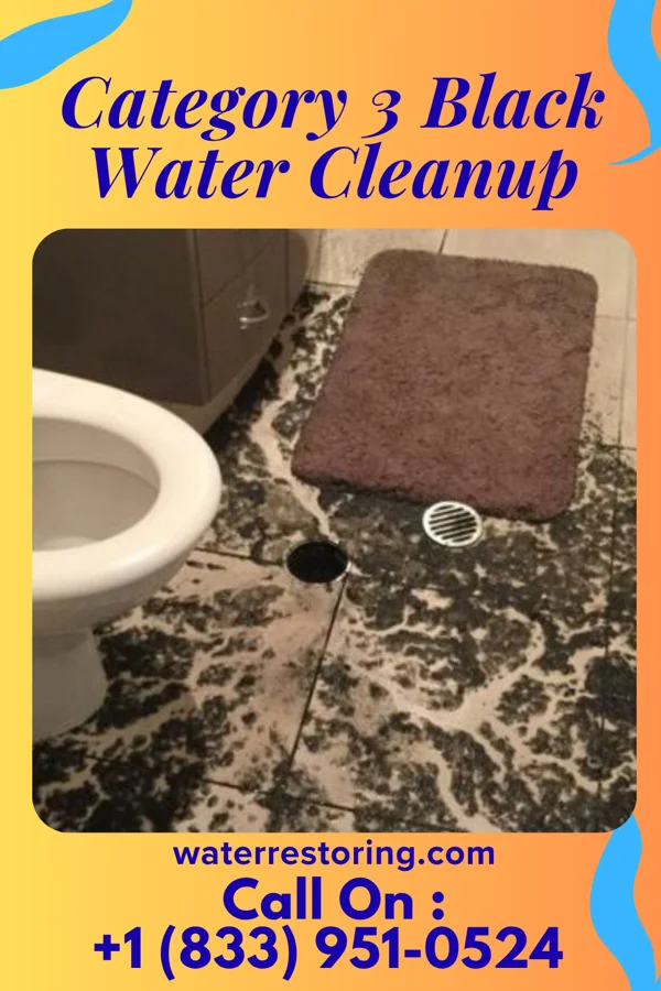Category 3 Black Water Cleanup in Gardere, LA